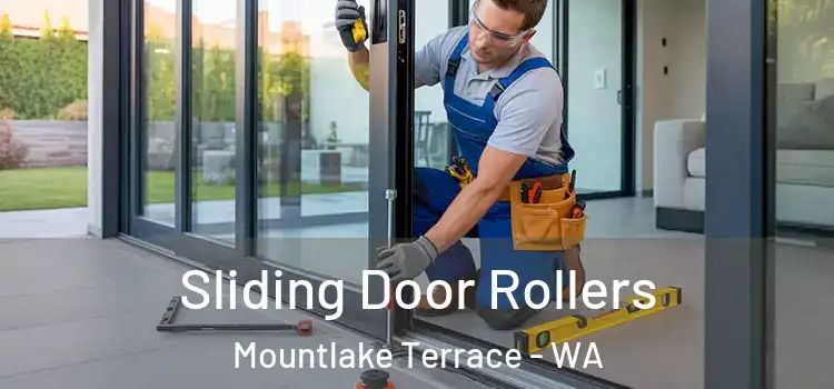 Sliding Door Rollers Mountlake Terrace - WA